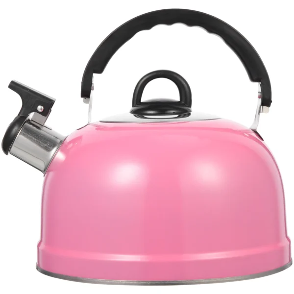 20X19X18.5CM Japanese Teapot Buzzing Kettle Boiled Boiling Induction Heating Practical Pink Stainless Steel Make 1